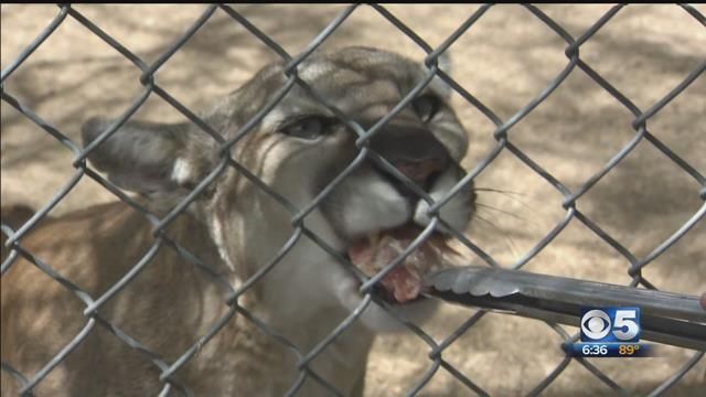 Conservation Center Controversy