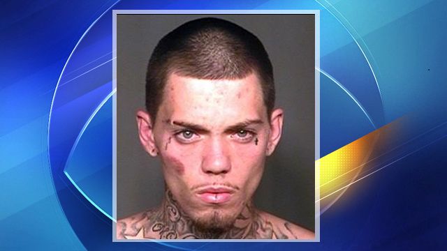 Burglary suspect found hiding in Mesa backyard trash can - CBS 5 ...