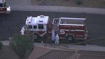 One firefighter was also stung. (Source: CBS 5 News)